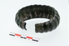 Foto von Bronzemelonenarmreif (NHMW-PRAE-026370)